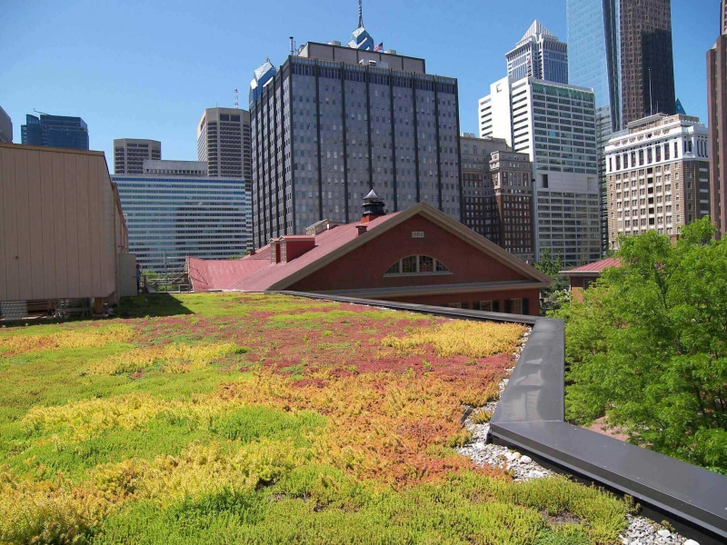 paysagiste-FREJUS-min_green-roof-portfolio-4